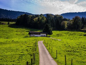 Traumhafte Alleinlage des Bauernhofes am Hang in Bayern.