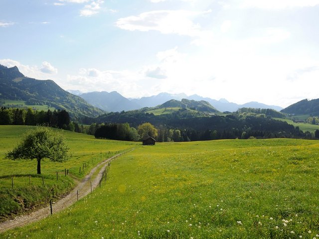 Spaziergänge machen mit Blick auf die Alpen direkt vom Bauernhof in der Region Chiemsee